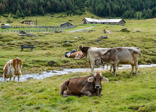 Im Kreislauf - wir erzeugen ökologische Lebensmittel
